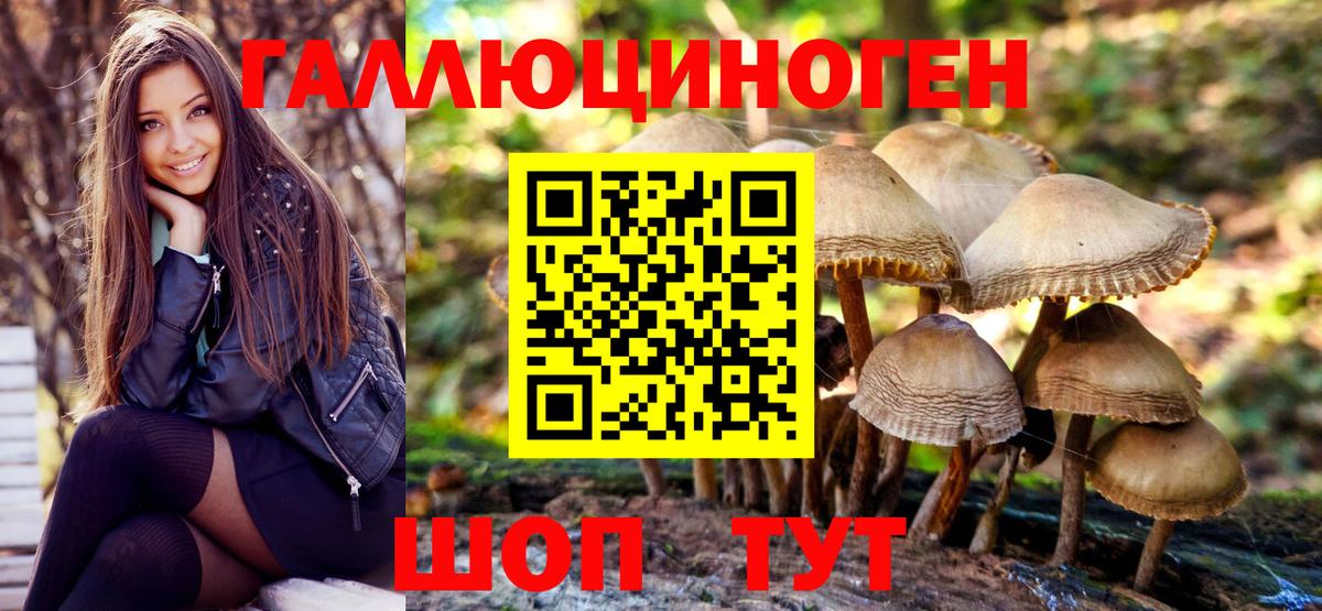 Псилоцибиновые грибы прущие грибы  Псилоцибиновые грибы GOLDEN TEACHER  Орёл  хочу наркоту  Вход с VPN 