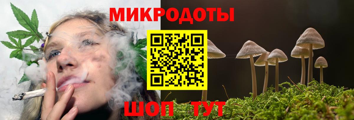 Псилоцибиновые грибы мухоморы Орёл